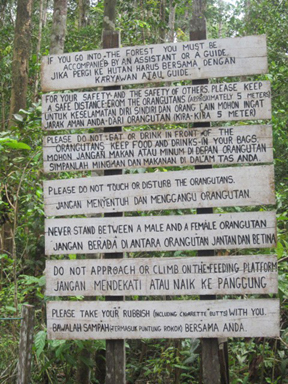 Tadjung Putting National Park Tadjung Putting National Park