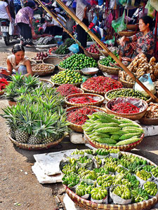 Vietnam Travel Hanoi Market