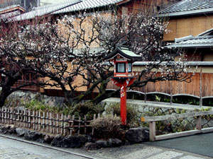 Kyoto Kyoto