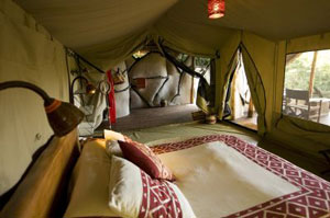 Basecamp Masai Mara Basecamp Masai Mara