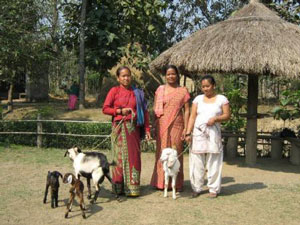 Goat Breeding Project Goat Breeding Project