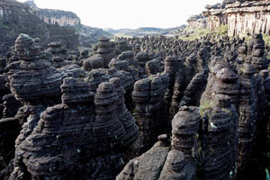 Top of Roraima Top of Roraima