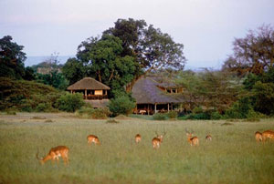 Basecamp Masai Mara Basecamp Masai Mara