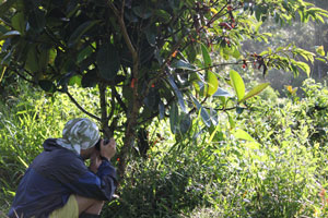 Bird Watching Bird Watching