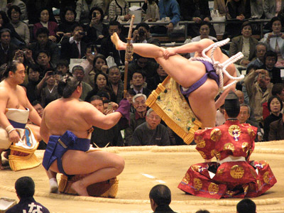 Sumo Wrestlers Sumo Wrestlers