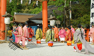Hollyhock Festival Japan Hollyhock Festival Japan