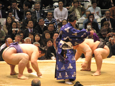 Sumo Wrestlers Sumo Wrestlers