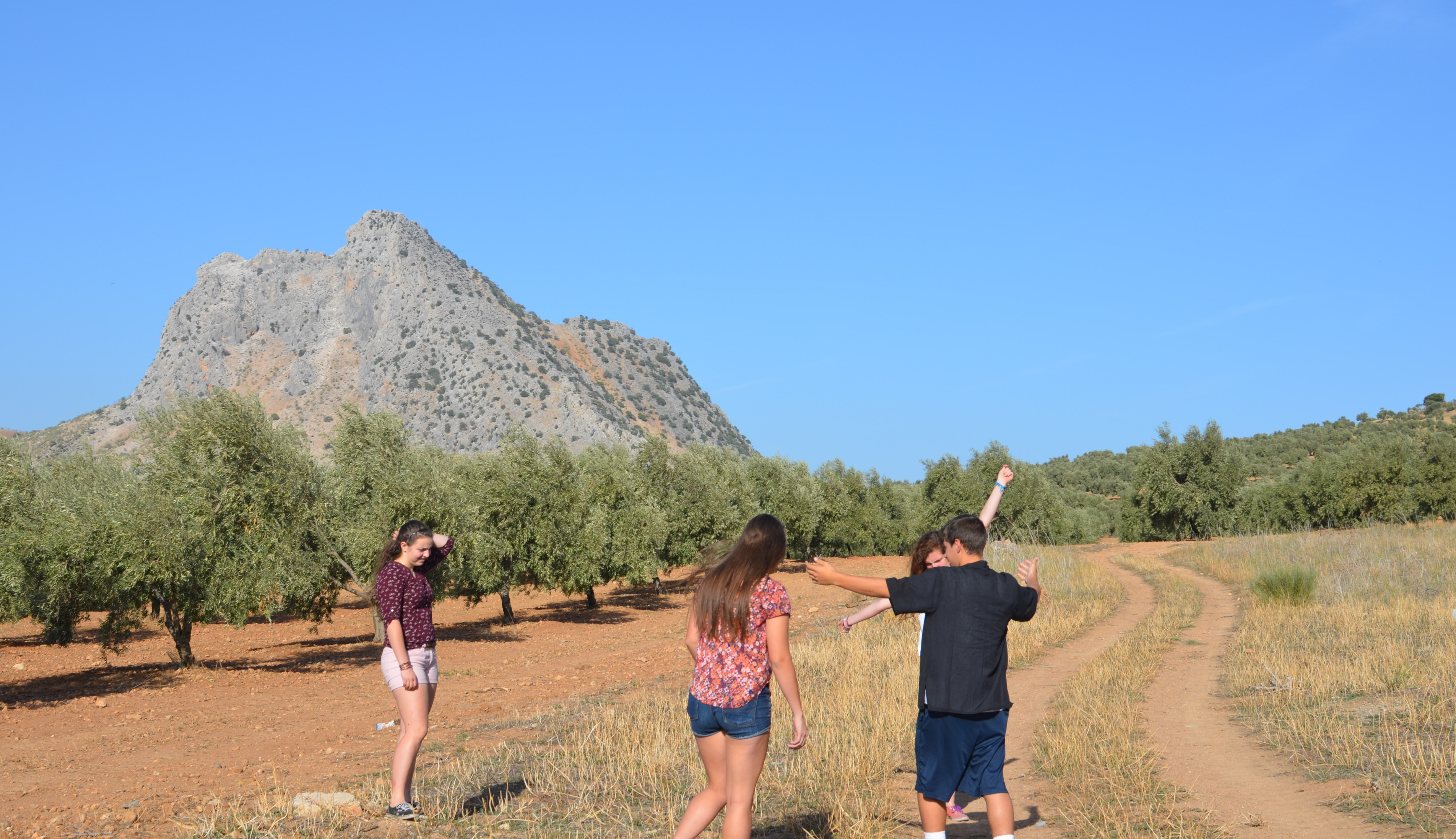 Experiential student presentation on the importance of the olive and olive oil in an olive grove! Experiential student presentation on the importance of the olive and olive oil in an olive grove!