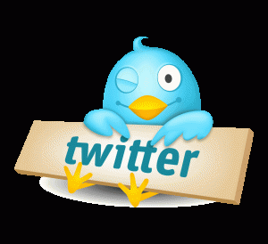 twitter-logo-bird