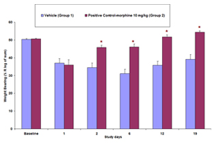 MIA-induced osteoarthritis, weight bearing, inflammatory pain, neuropathic pain, preclinical CRO