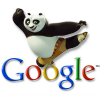 The History of SEO - Google Kung Fu Panda