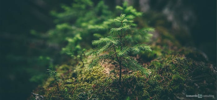 Sustainaable Process Based Management Sustainaable Process Based Management