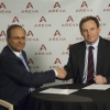 Overview: Services of a Strategic Partner