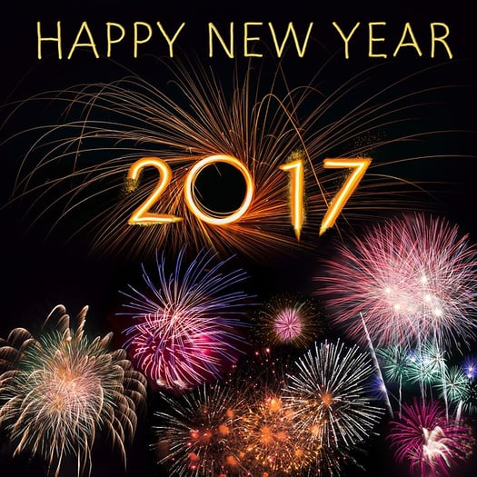 Want to Be Healthier in 2017? 10 Ways Bernick’s Can Help