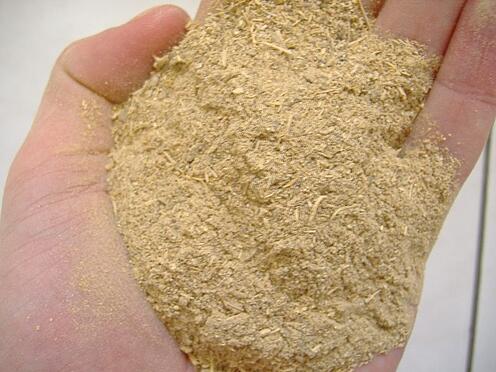 ground kava root