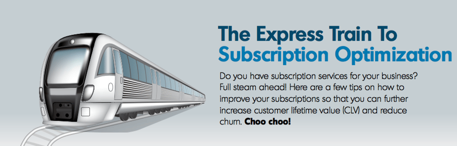 express_train_to_subscription_optimization_bluesnap