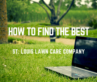 5_Tips_For_Finding_the_Best_Lawn_Care_Company_in_St._Louis.png