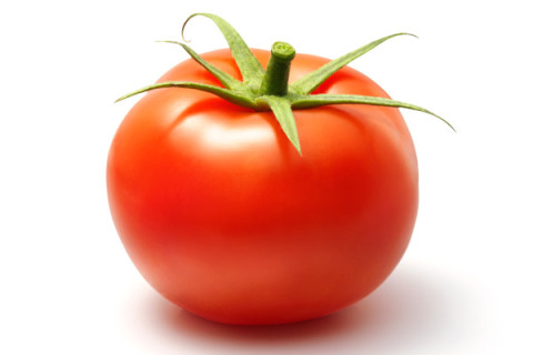tomato