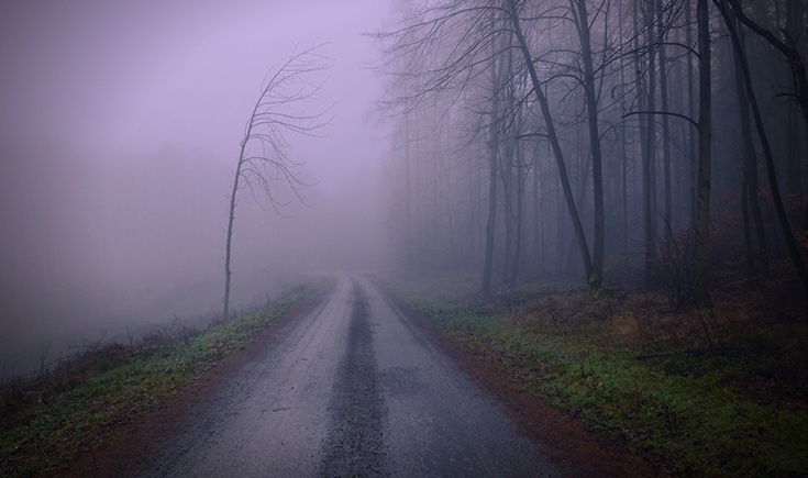 crookedtreenexttoroad_baracross.jpg crookedtreenexttoroad_baracross.jpg