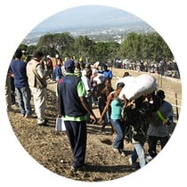Mother Teresa canonization