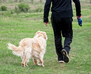 benefits of owning a physical benefits of owning a pet benefits of owning a physical benefits of owning a pet