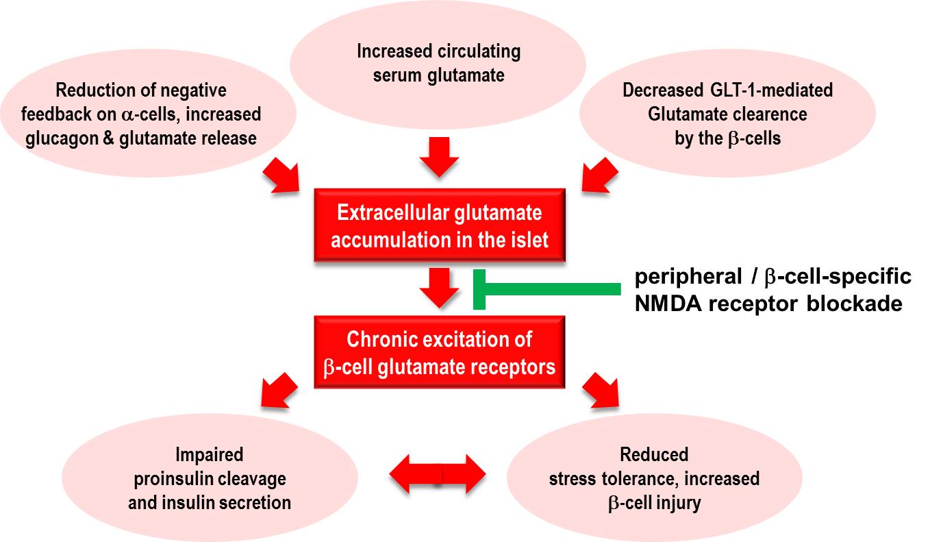 Over-the-counter cough suppressant for diabetes treatment?