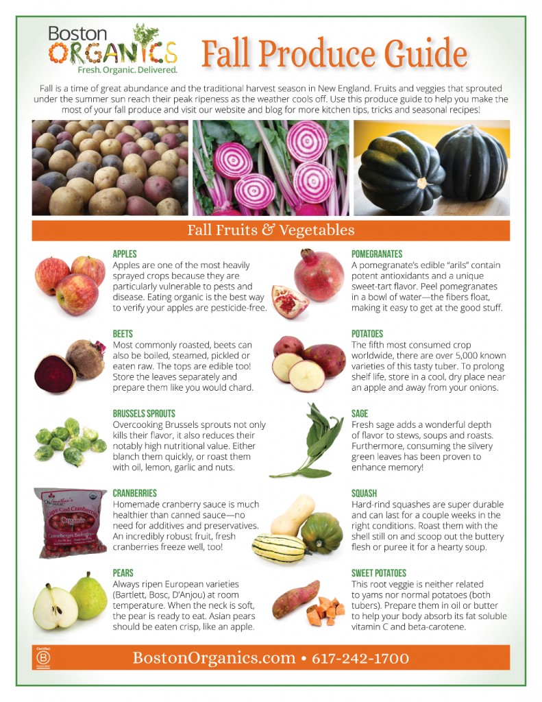 http://cdn2.hubspot.net/hub/481170/file-2781622851-jpg/blog-files/2014-fall-produce-guide-page1-791x1024.jpg