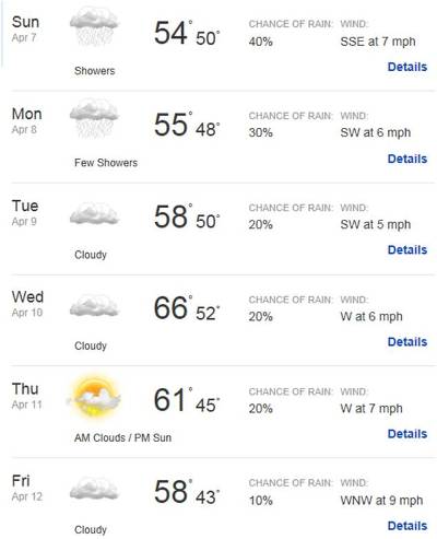 weather