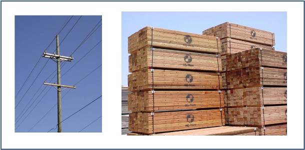 wood distribution crossarm