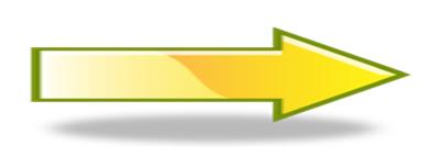 read a credit report