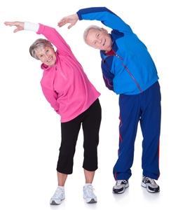 Example Exercise Programs Elderly