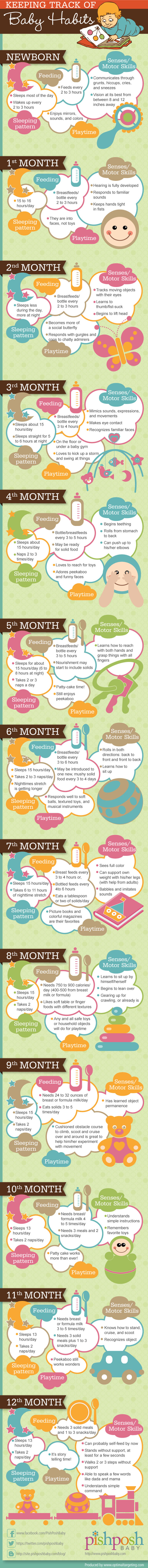 infographic-baby-stages