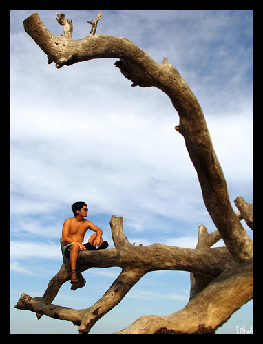 island
