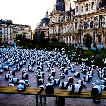 Guerrilla Marketing: WWF Pandas