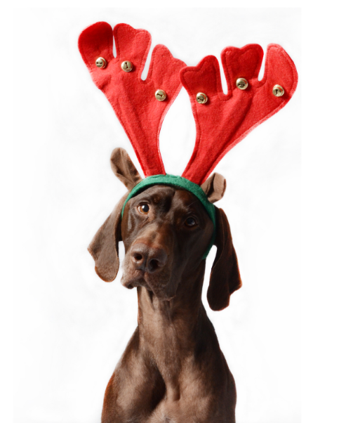 2012 holiday campaigns