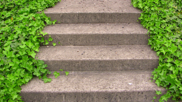 4 steps to scale