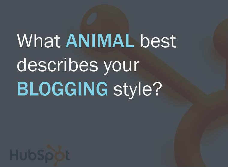 animal blogging