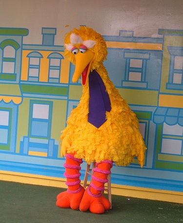 big bird presidential debates romney