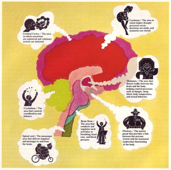 brain content resized 600