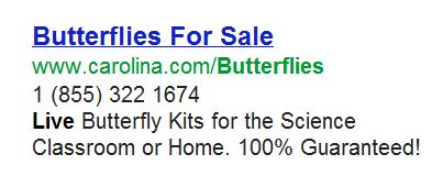 butterfliesfor sale