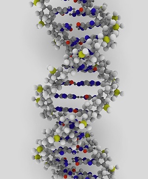 dna double helix