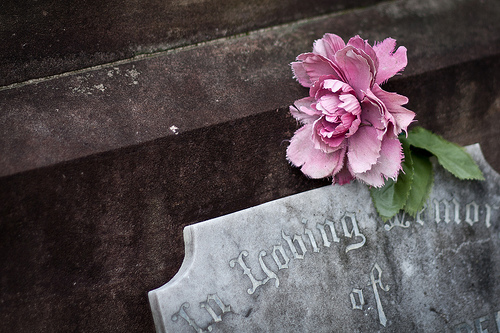 flowers, grave