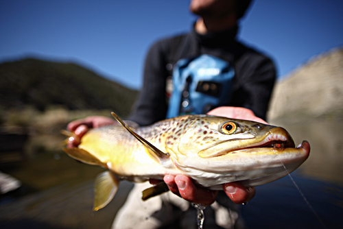 Catch-A-Customer-Fly-Fishing-