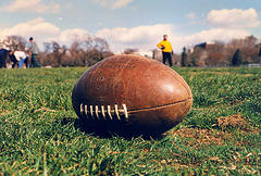 football image resized