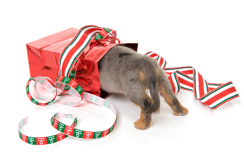 gift idea marketers