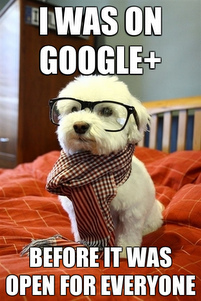 google dog