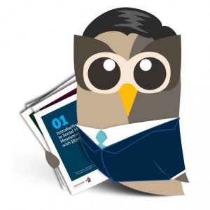 owl