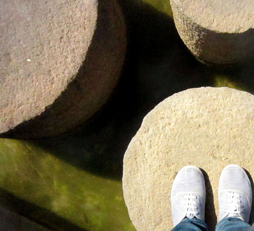 lead management steps
