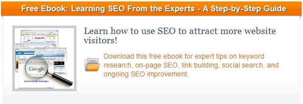 SEO ebook blog CTA