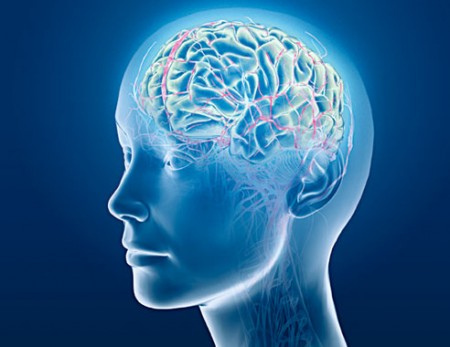 neuroscience
